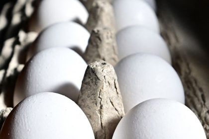 Trump’s Bird Flu Plan: Why Egg Prices Won’t Drop Soon?