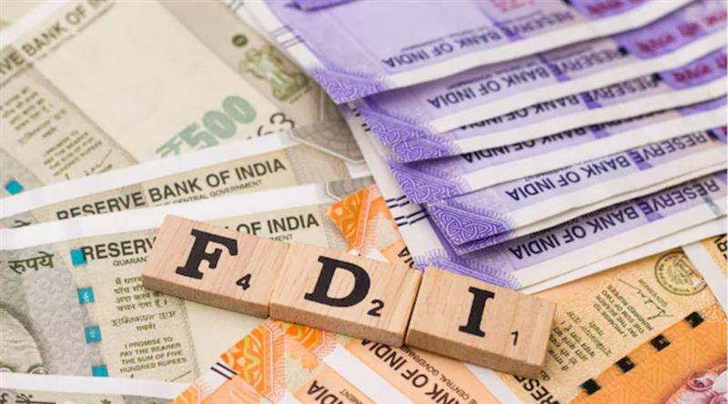 Is the Sharp Drop in FDI to Developing Countries a Sign of Deeper Economic Issues?