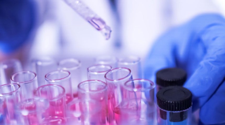 Chemical Sector's Hidden Gems: 5 Stocks Driving Growth in 2025