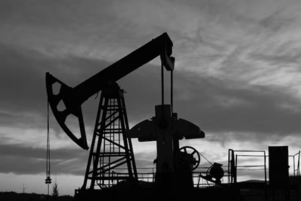 India Holds 100 Million Barrels of Crude Oil